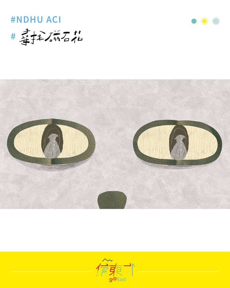 【榮譽榜】恭喜本系同學 賴星辰，以作品《尋找磁石花》 入圍➦7th Ahmedabad International Children Film Festival /.(另開新視窗/jpg檔)圖片