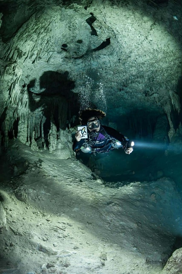 【技能交換】徵求設計策展人才 ✕ 潛水證照與英語教學(另開新視窗/jpg檔)圖片