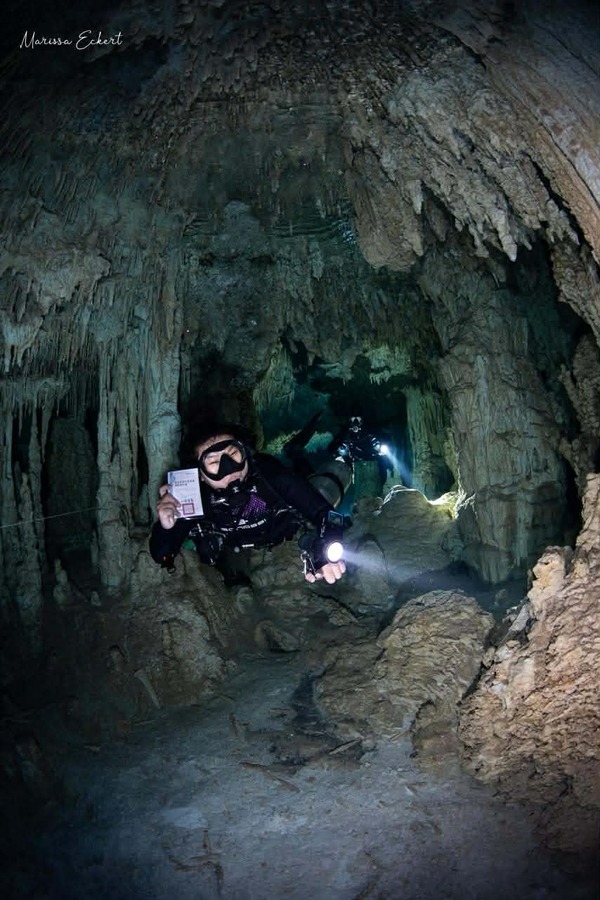 【技能交換】徵求設計策展人才 ✕ 潛水證照與英語教學(另開新視窗/jpg檔)圖片